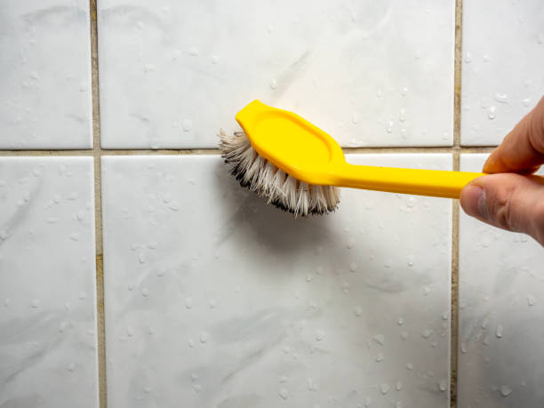 Best Attic Mold Removal  in Patterson, CA