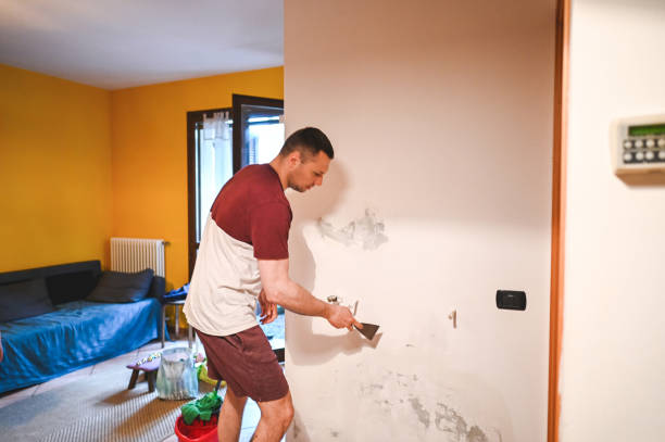 Best Mold Removal Company Near Me  in Patterson, CA